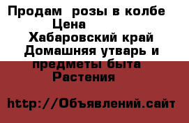 Продам  розы в колбе. › Цена ­ 2 800 - Хабаровский край Домашняя утварь и предметы быта » Растения   